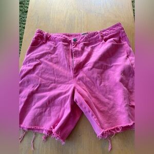 Lucy and Yak Classic High-Rise Pink Women's Shorts